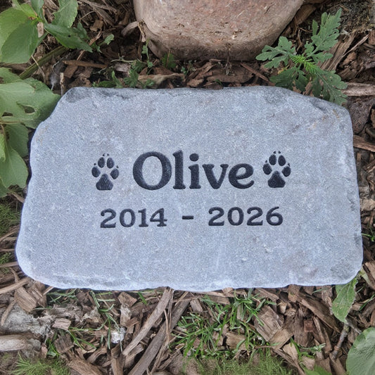 A personalized pet memorial stone engraved with the name 'Olive', paw prints, and the years '2014 - 2026', placed on mulch and grass outdoors.