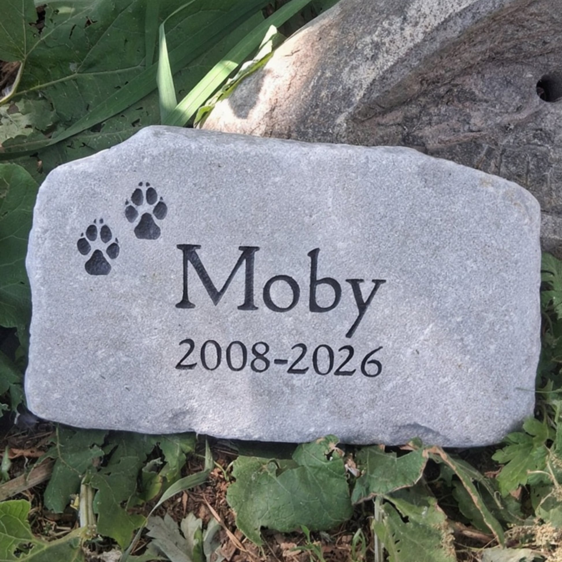 A personalized pet memorial garden stone engraved with the name 'Moby', the dates '2008-2026', and two black paw prints, placed outdoors among green leaves and grass.