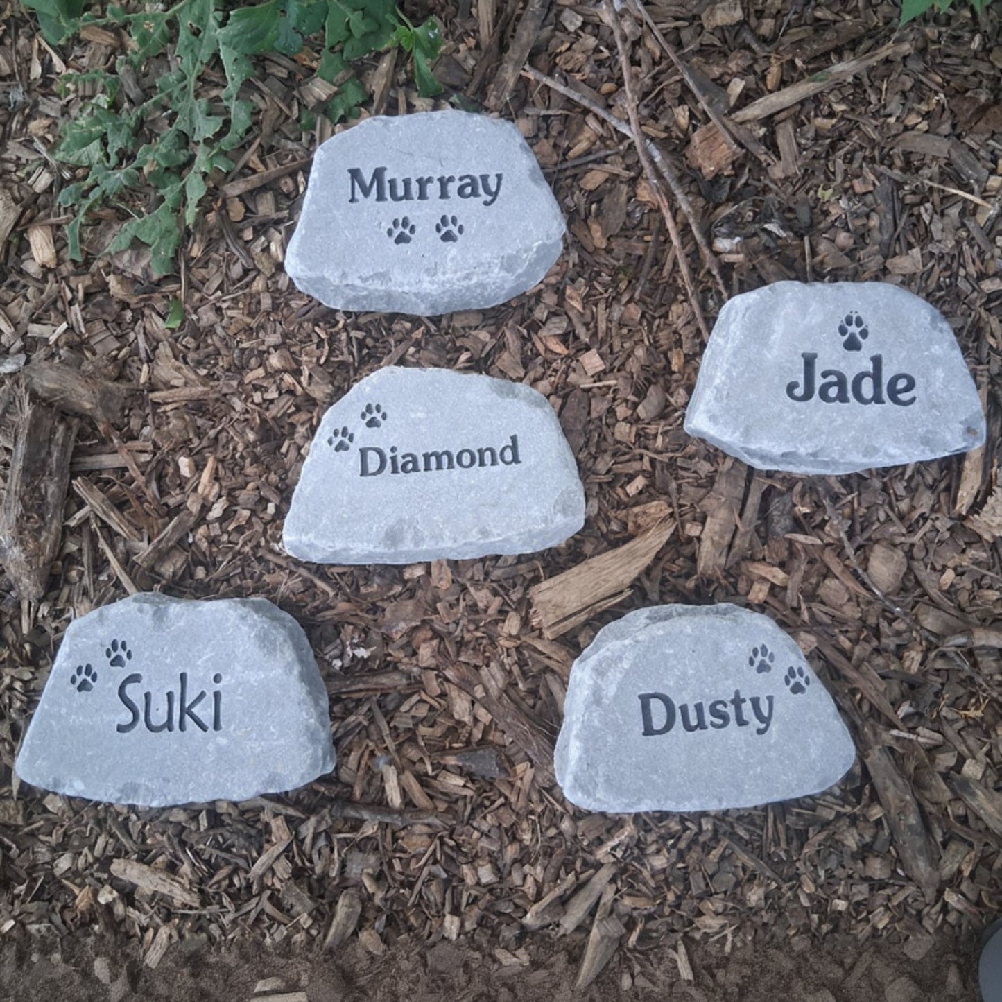 Five personalized pet memorial garden stones engraved with names (Murray, Diamond, Jade, Suki, Dusty) and small paw prints, arranged on a bed of brown wood chips and mulch.