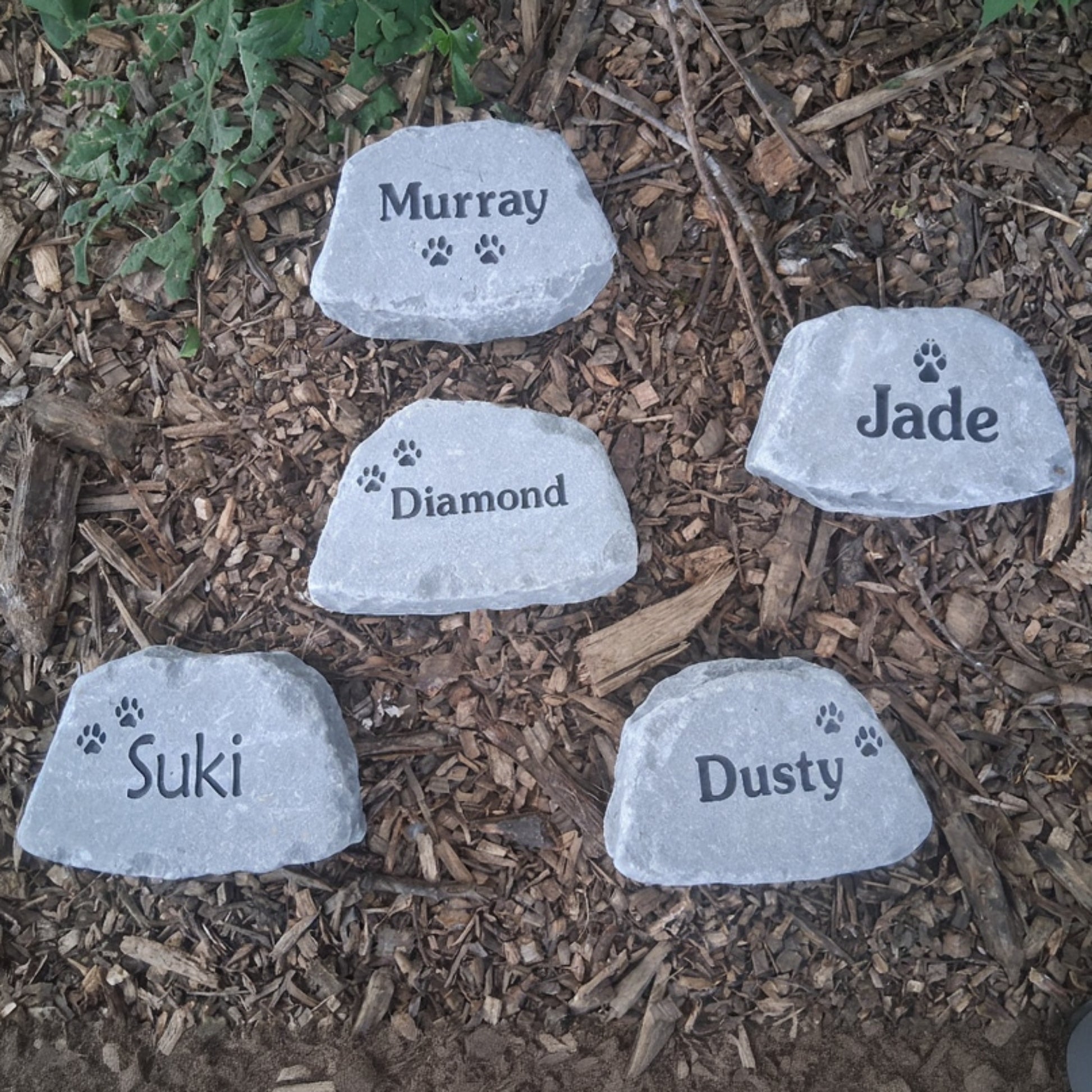 Five personalized pet memorial garden stones engraved with names (Murray, Diamond, Jade, Suki, Dusty) and small paw prints, arranged on a bed of brown wood chips and mulch.