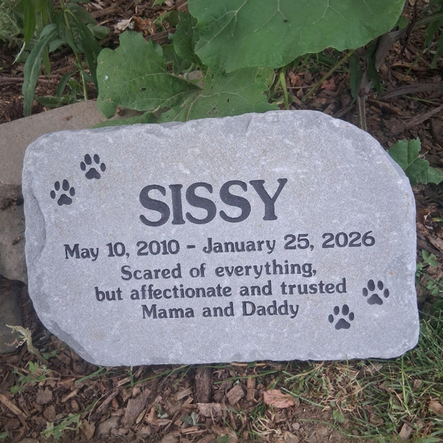A personalized pet memorial stone engraved with the name 'SISSY', dates, and paw prints, placed outdoors on the ground among grass, mulch, and green leaves.