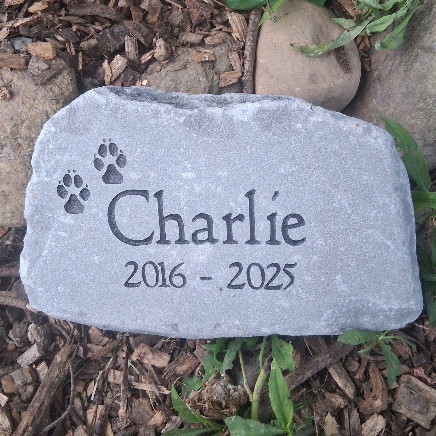 A personalized pet memorial garden stone engraved with the name 'Charlie', the dates '2016 - 2025', and two paw prints, placed on mulch with green plants and other stones in a garden setting.