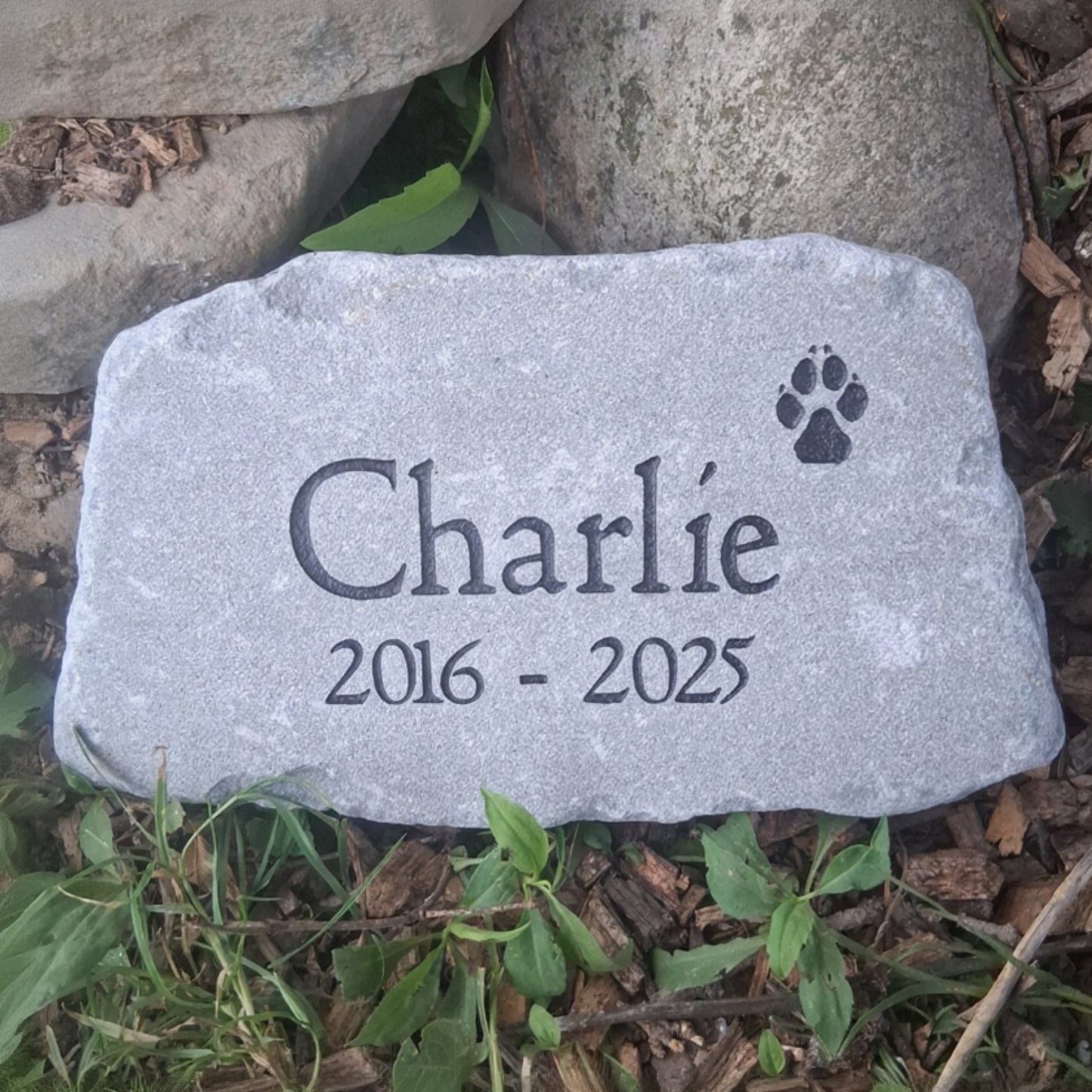 A personalized pet memorial stone engraved with the name 'Charlie', the date '2016 - 2025', and a black paw print, placed on a bed of mulch and green plants.
