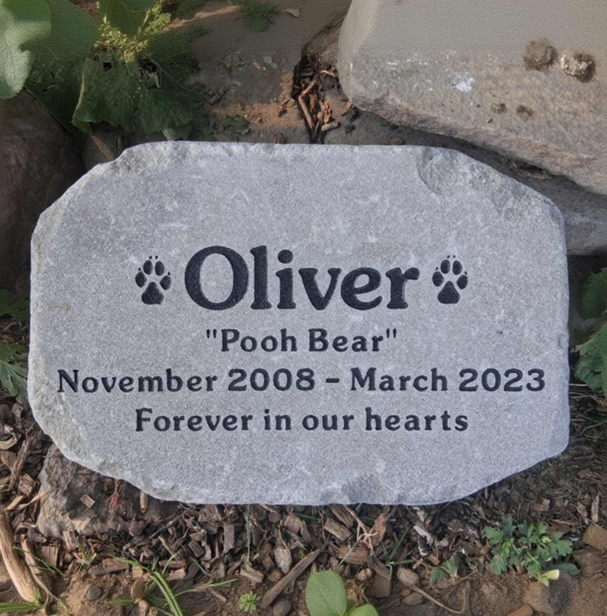 A personalized pet memorial stone engraved with the name 'Oliver', the nickname 'Pooh Bear', dates 'November 2008 - March 2023', and the phrase 'Forever in our hearts'. The stone is photographed outdoors on a bed of mulch with green plants and rocks in the background.