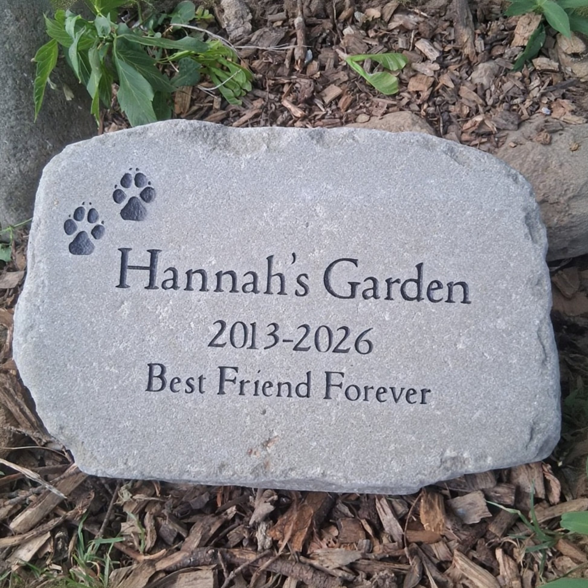 A personalized pet memorial garden stone engraved with 'Hannah's Garden', the dates '2013-2026', and 'Best Friend Forever', along with two paw prints, placed on a bed of mulch and green plants.