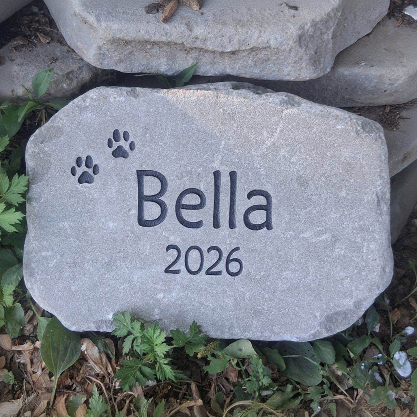 A personalized gray stone pet memorial marker engraved with the name 'Bella', the year '2026', and two black paw prints, placed outdoors on a bed of mulch and green plants.