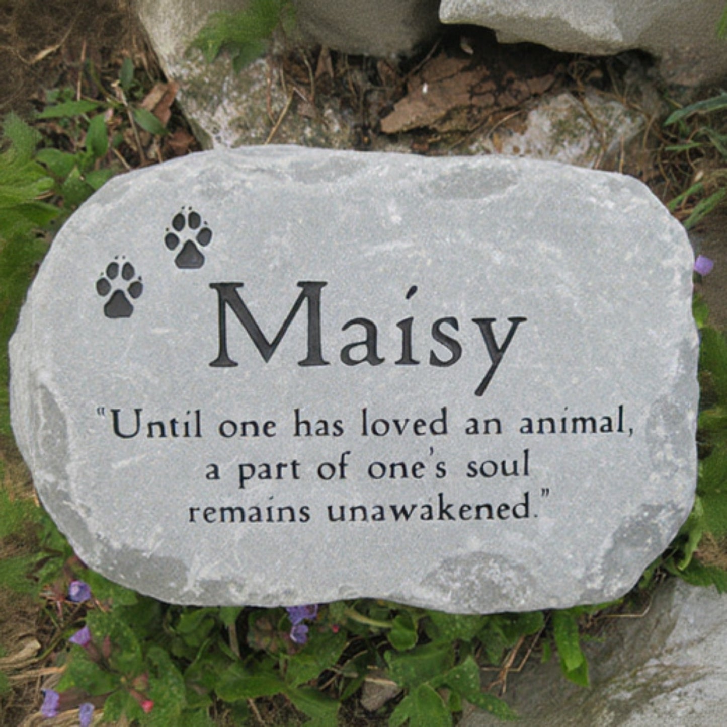 A personalized pet memorial garden stone engraved with the name 'Maisy', two paw prints, and a quote, placed outdoors among grass and small purple flowers.
