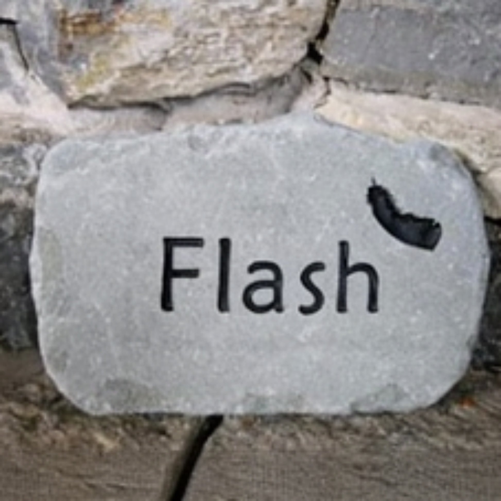 A rectangular gray bird memorial engraved with the word 'Flash' and a small black feather icon, placed against a rustic stone wall.