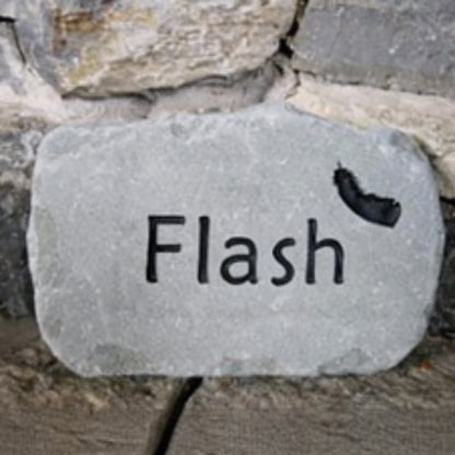 A rectangular gray bird memorial engraved with the word 'Flash' and a small black feather icon, placed against a rustic stone wall.
