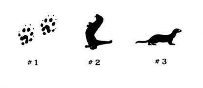 Three black silhouette shapes labeled #1, #2, and #3 on a white background, resembling animal or paw-print style icons.