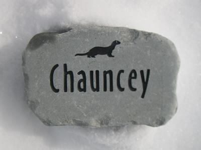 A custom engraved gray garden stone featuring the name 'Chauncey' in black lettering and a black silhouette of a ferret, resting on a white snowy surface.
