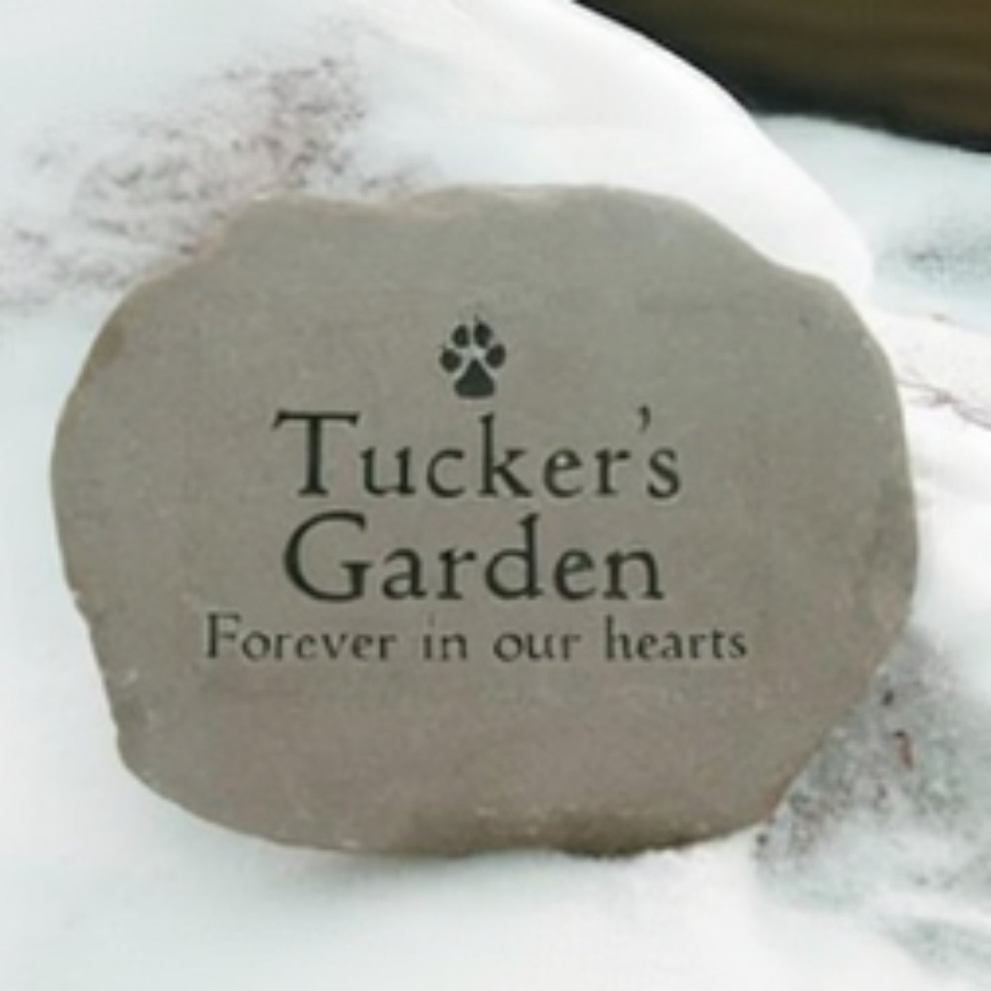A custom pet memorial garden stone with the text 'Tucker's Garden' and 'Forever in our hearts' engraved, featuring a small paw print icon, shown resting in the snow.