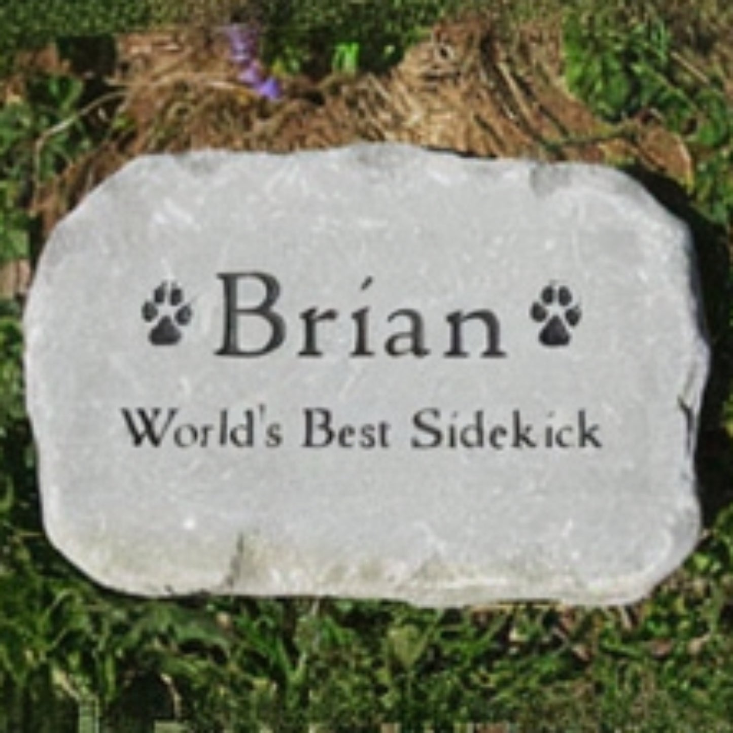 A personalized pet grave stone engraved with the name 'Brian' and the phrase 'World's Best Sidekick' with paw prints, placed on grass.