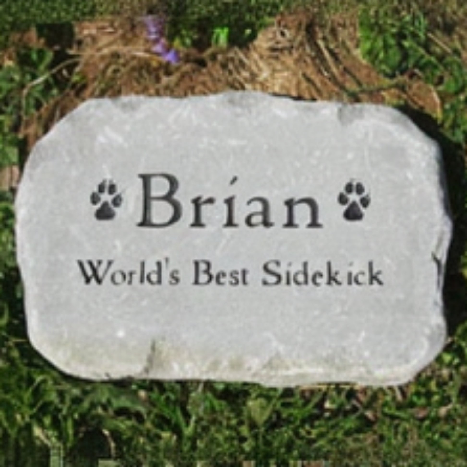 A personalized pet grave stone engraved with the name 'Brian' and the phrase 'World's Best Sidekick' with paw prints, placed on grass.