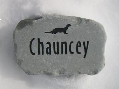 chauney